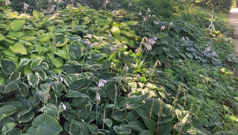 49 Sheridan Avenue S