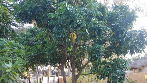 5398 Oxford Manor Cir