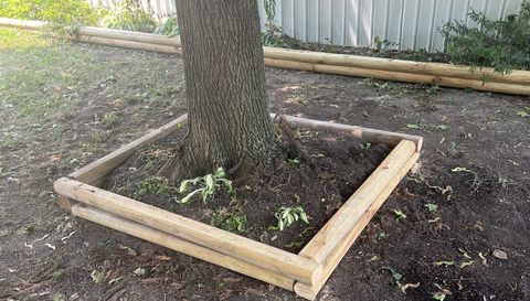 415 Crimson King Cir