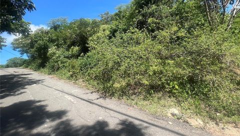 995 Carretera Estatal 995