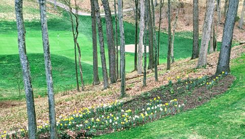 4209 N Oak Pointe Ct NE