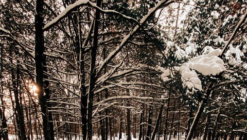 28931 Tall Moon Circle