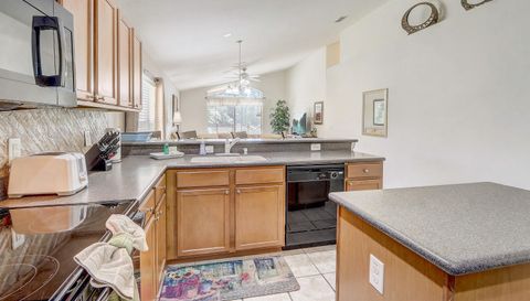 927 Orange Cosmos Blvd