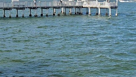 179 MEDALLION BOULEVARD