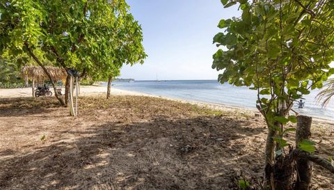 Roatan Island At Caribbean, Honduras