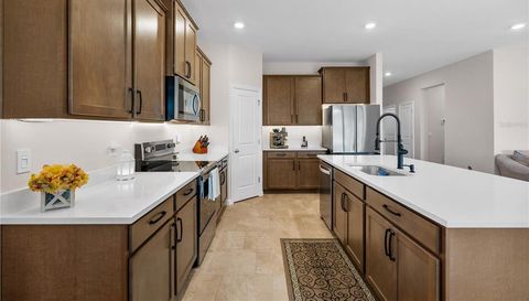 32516 OSPREY PEAK WAY