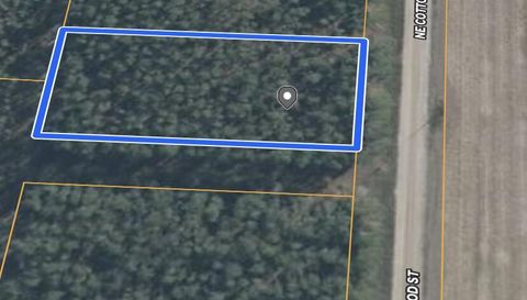 0 NE Cottonwood Street LEE FL 32059