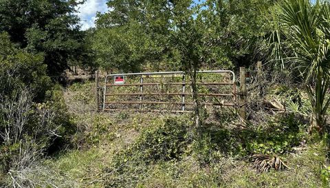 1701 Cabbage Wood Rd Okeechobee