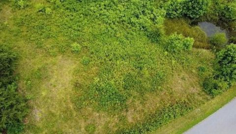 1034 Table View Drive