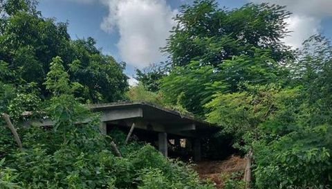 Comunidad Villa Borinquen