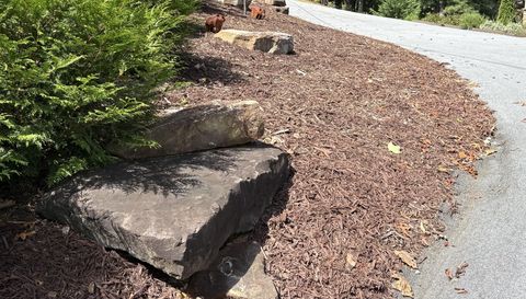 916 Arbor Dr Lakemont