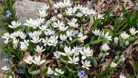 49 Sheridan Avenue S