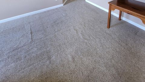 3145 Twisted Oak Loop