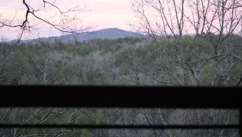 529 Toccoa Preserve Lane