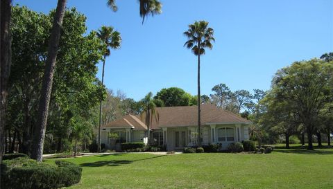 1615 TIMBER PINES COURT