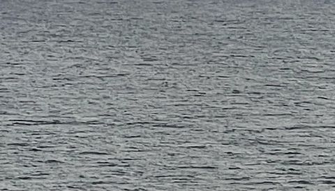 15221 Via De Las Olas