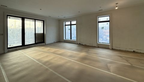 405 W Armitage Avenue