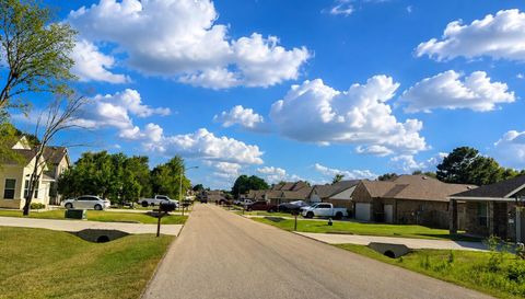 12294 Lake Conroe Hills Dr