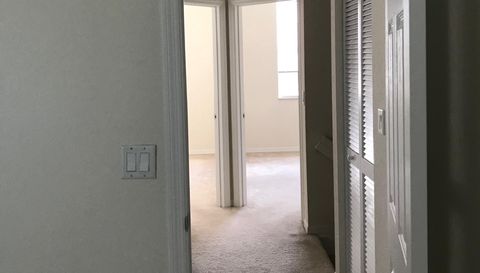 141 E Thatch Palm Cir