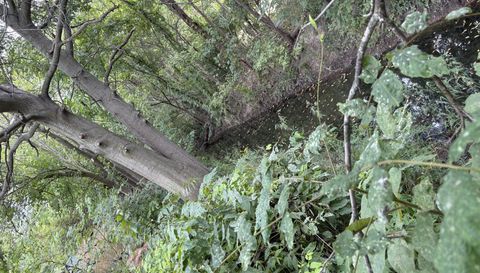 38751 Sugar Ridge Rd