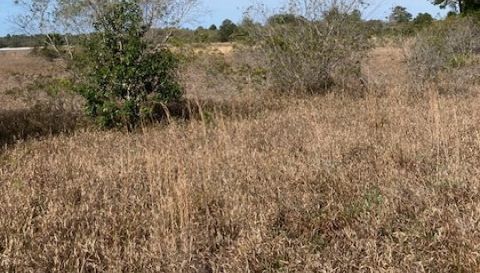 00 Scenic Lake Drive