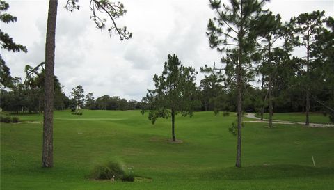 1615 TIMBER PINES COURT