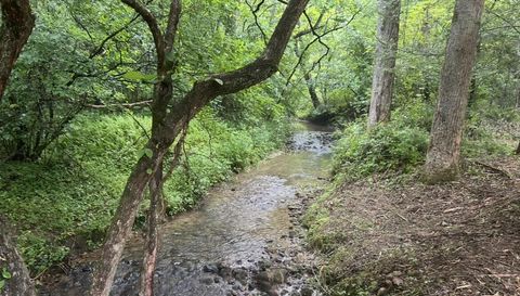 10042 Doublehead Gap Rd