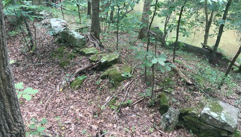 0537-01021 Henderson NC 27537