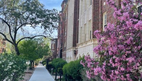 1824 N Lincoln Park West