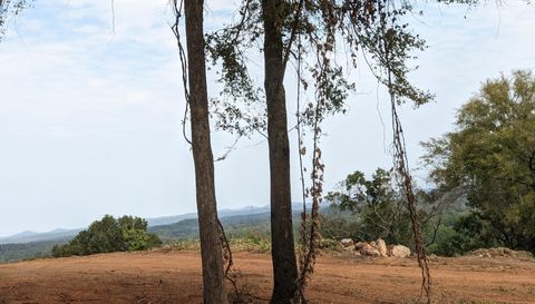 16091 Jackson Trace Rd