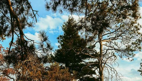 28931 Tall Moon Circle