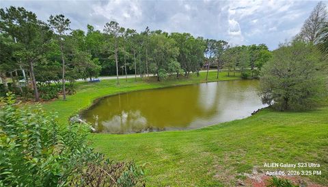 2504 GRASSY POINT DRIVE