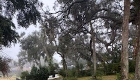 1505 E Crooked Lake Dr