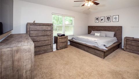 3321 Micanopy