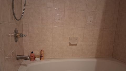 449 Bay Tree Cir