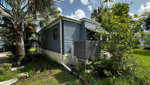 10843 Bonapartes Gull SE