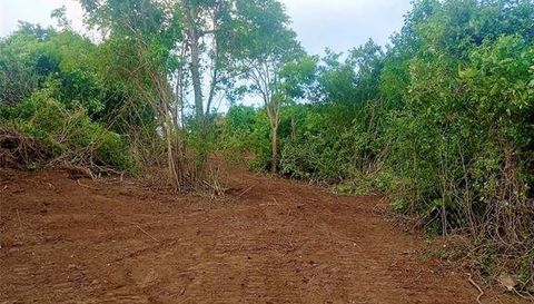 995 Carretera Estatal 995