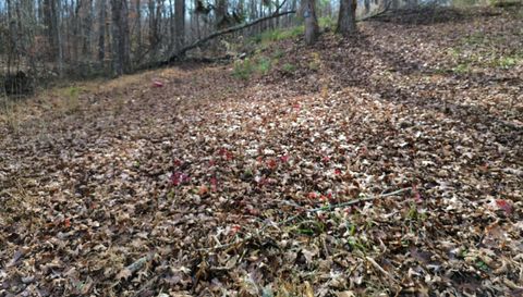 881 S Little New York Trail