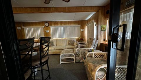 10843 Bonapartes Gull SE