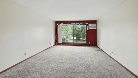 4 Pine Tree Drive