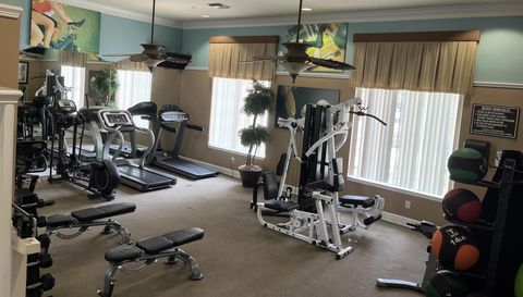 927 Orange Cosmos Blvd