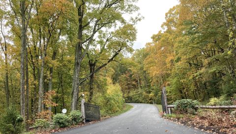 99999 Mountain Grove Ln.