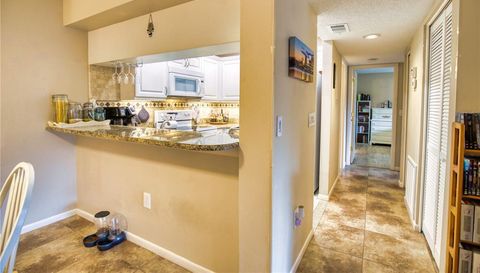 752 White Pine Tree
