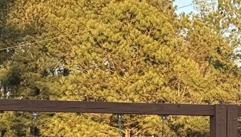 2714 Shetley Creek Dr