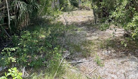 1701 Cabbage Wood Rd Okeechobee