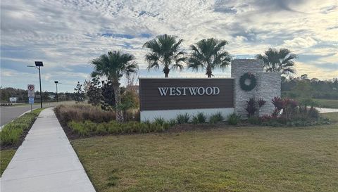 17272 BIGLEAF MAHOGANY LANE