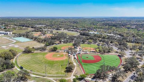 15922 FISHHAWK CREEK