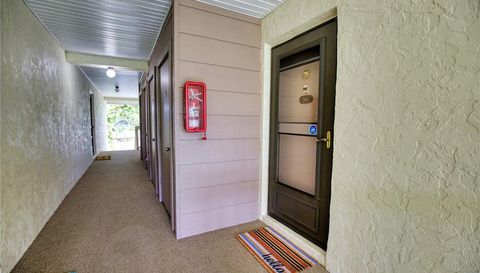 752 White Pine Tree