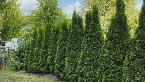 7206 Winding Brook Rd