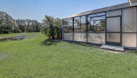 927 Orange Cosmos Blvd